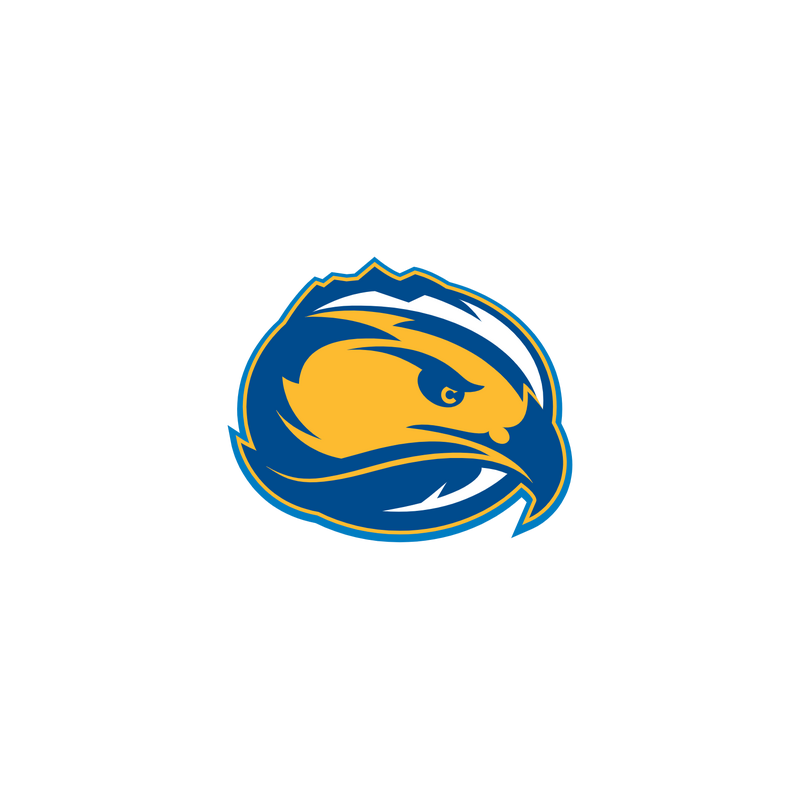 Fort Lewis Skyhawks Logo PNG Vector  PNG