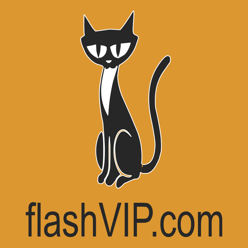 FlashVIP.com Logo PNG Vector  PNG