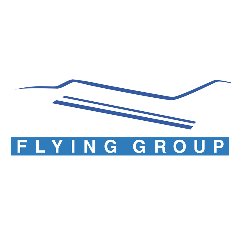 Flying Group 标志 PNG Vector  PNG