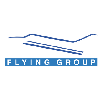 Flying Group Logo PNG