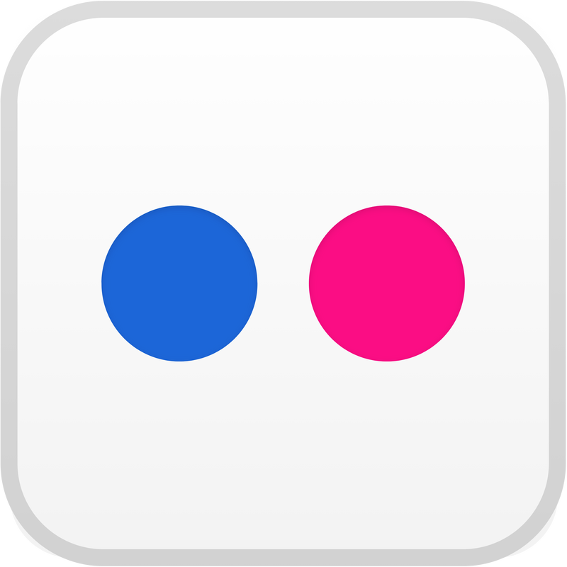 Flickr Icon Logo PNG Vector  PNG