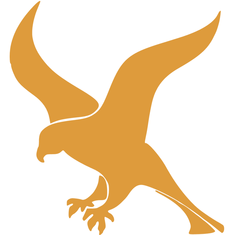 Falcon Logo PNG Vector  PNG