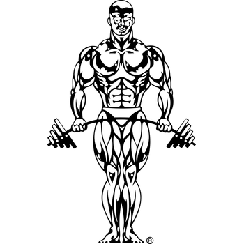 Golds Gym Logo PNG Transparent