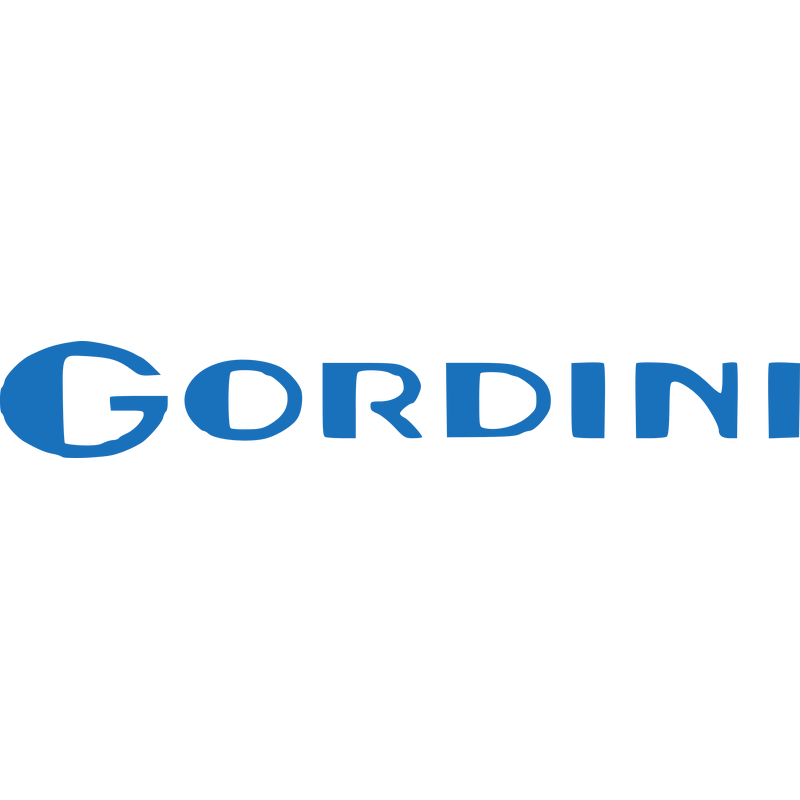 Gordini Logo PNG Vector  PNG