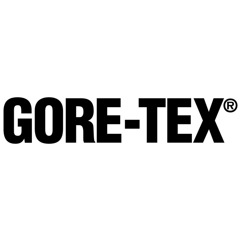 Gore Tex Alpinus Logo PNG Vector  PNG