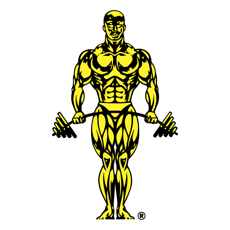 Gold&#039;s Gym Logo PNG Vector  PNG