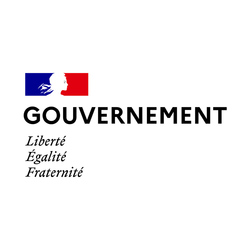 Gouvernement Français Logo PNG Vector  PNG