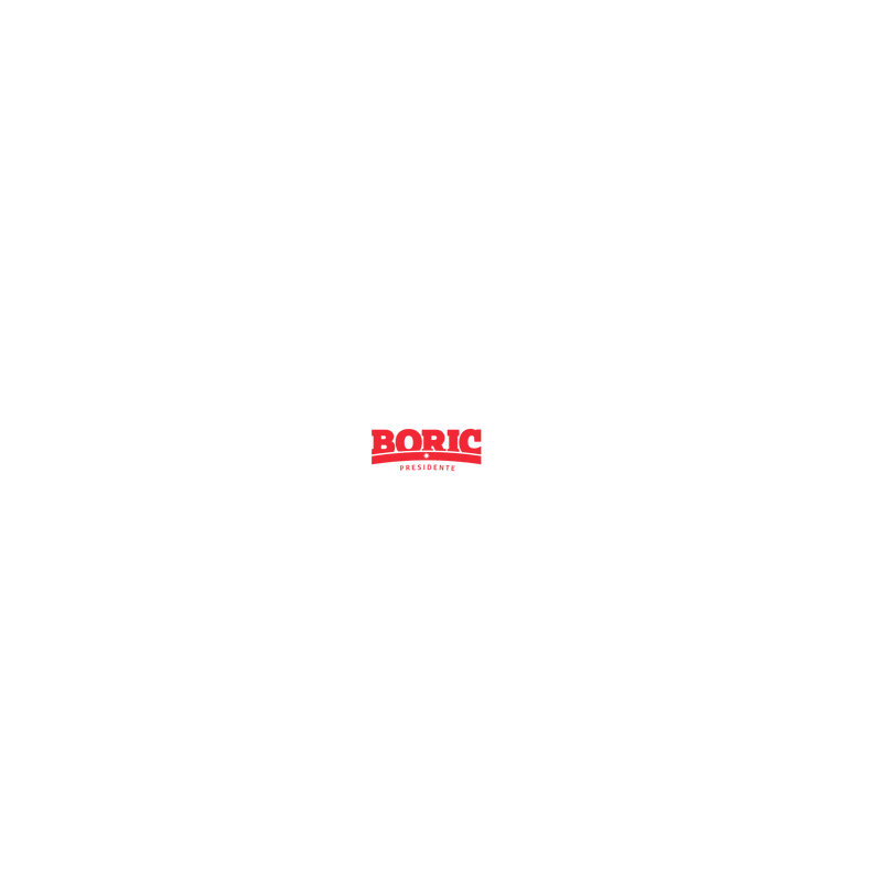 Gabriel Boric Presidente 标志 PNG Vector  PNG