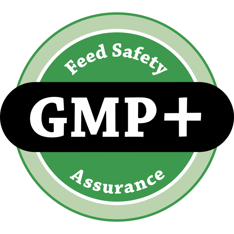 GMP+ Logo PNG Vector  PNG