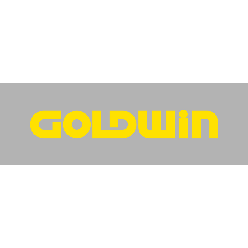 Goldwin Logo PNG Vector, Icon