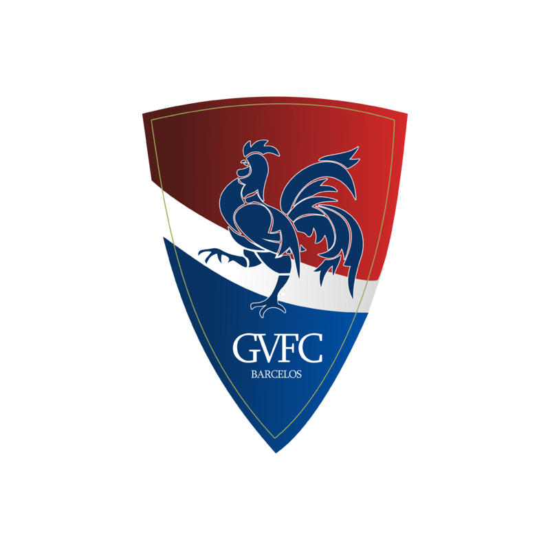 Download Gil Vicente Fc Logo PNG Transparent Background