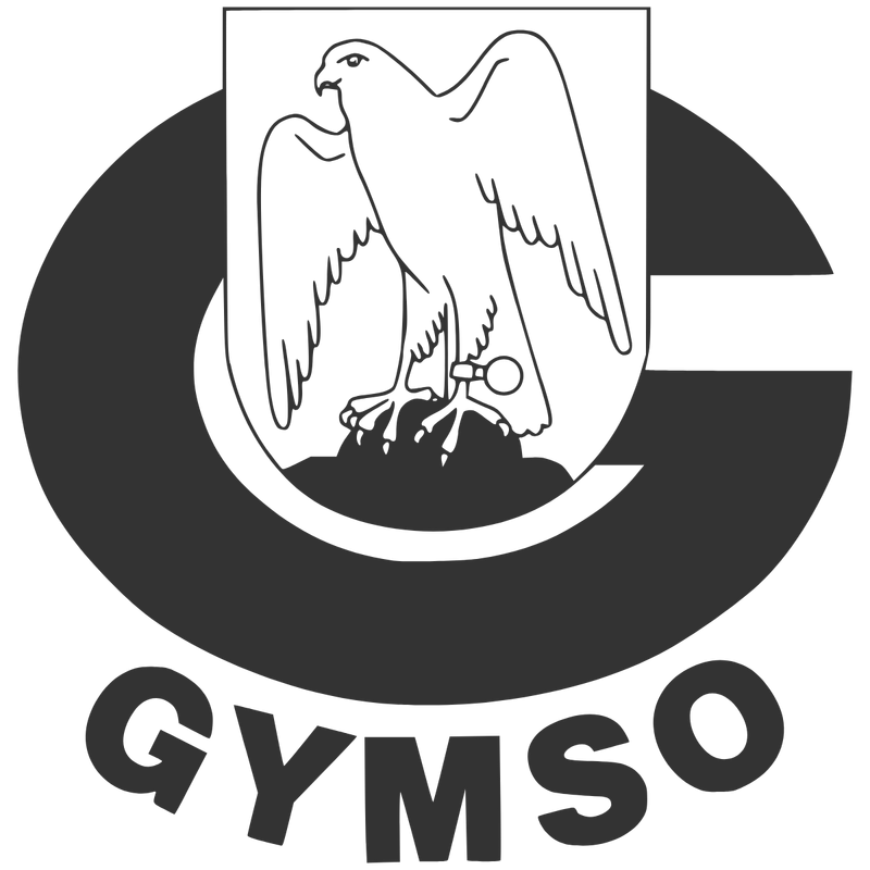 GYMSO Logo PNG Vector, Icon Transparent