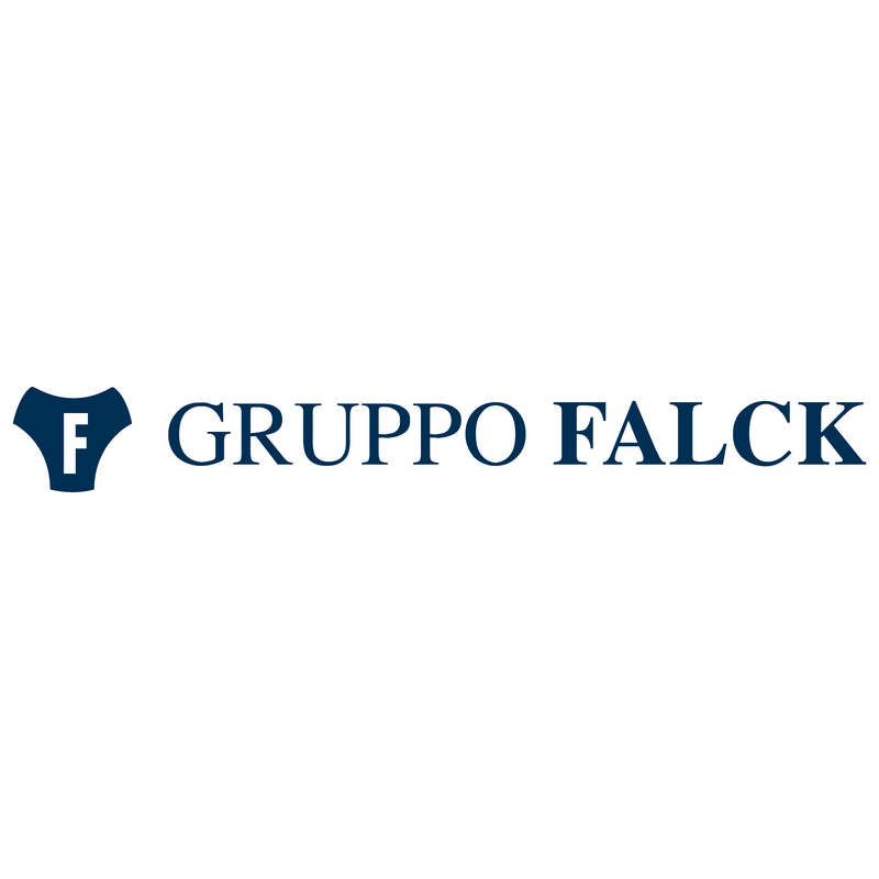 Gruppo Falck Logo PNG Vector, Ikon