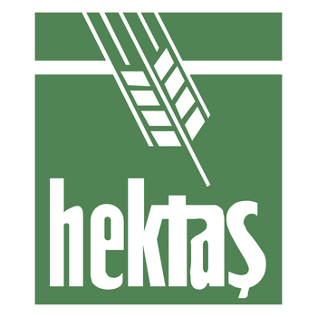 Hektas Logo PNG