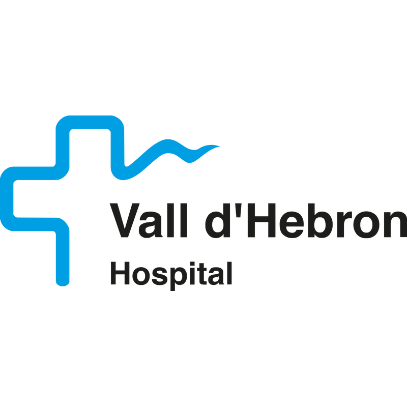 Hospital Universitari Vall d'Hebron Logo PNG Vector, Icon Transparent