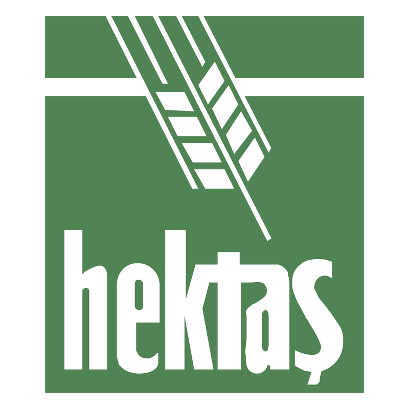 Logo Hektas PNG Vector, Icona