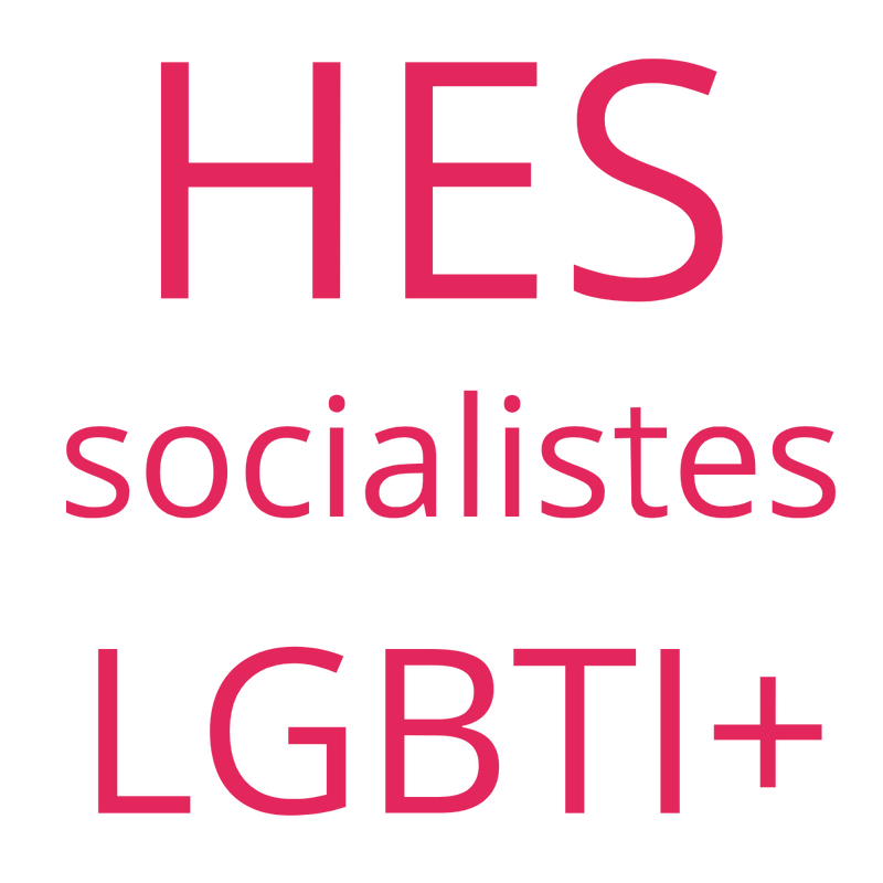 HES socialistes LGBTI+ Logo PNG Vector  PNG