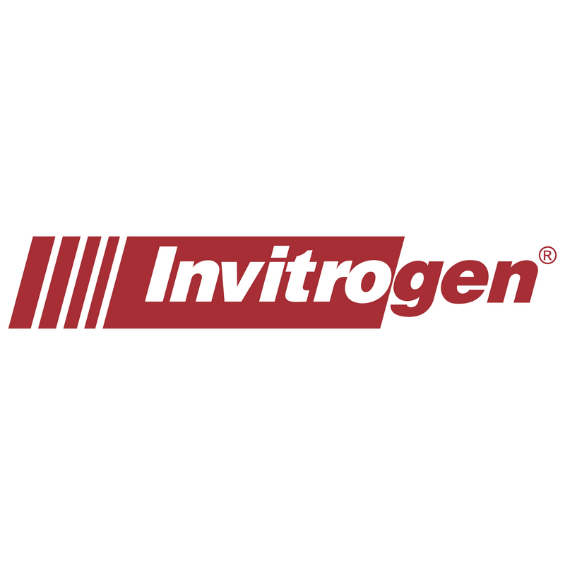 Invitrogen Logo PNG Vector  PNG