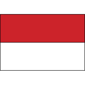 Flag of Indonesia Logo PNG