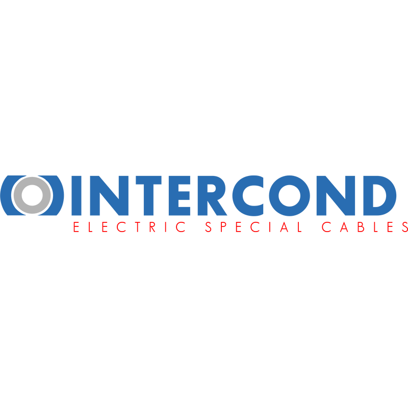 Intercond Lang Logo PNG Vector  PNG