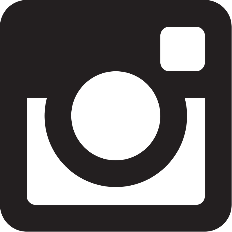 Instagram Glyph Icon Logo PNG Vector  PNG
