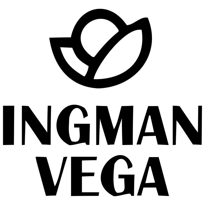 Ingman Vega Logo PNG Vector  PNG