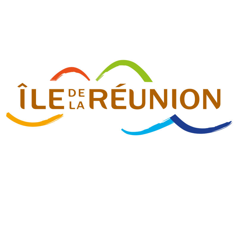 Irt Reunion Logo PNG Vector  PNG