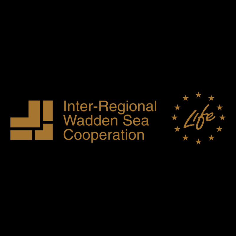 Inter Regional Wadden Sea Cooperation Logo PNG Vector  PNG