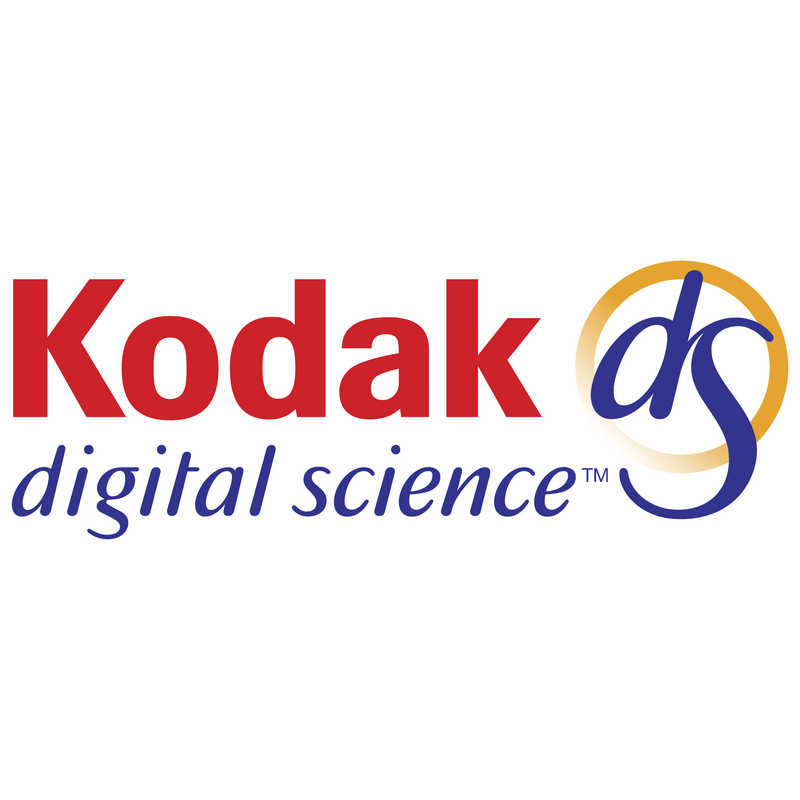 Kodak Logo PNG Vector  PNG