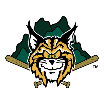 Lynchburg Hillcats Logo PNG