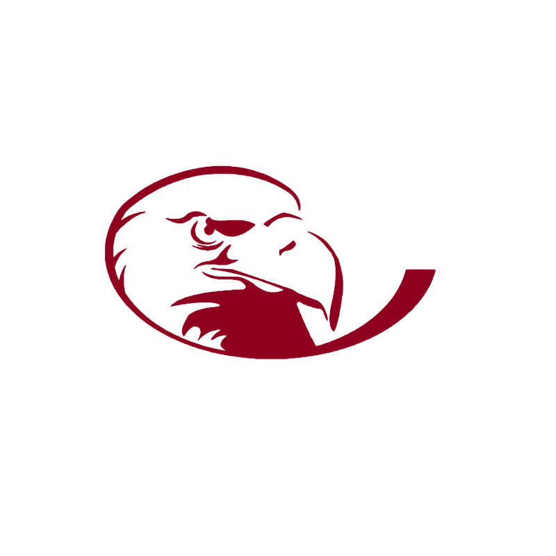 Lock Haven Bald Eagles Logo PNG Vector  PNG