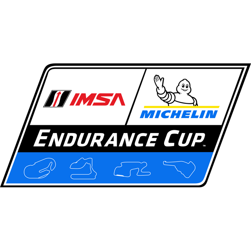 Michelin Endurance Cup Logotyp PNG Vector  PNG