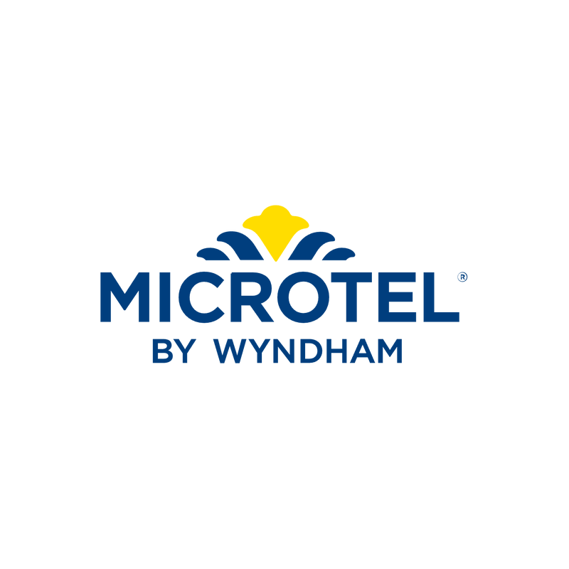 Microtel Logo PNG Vector  PNG