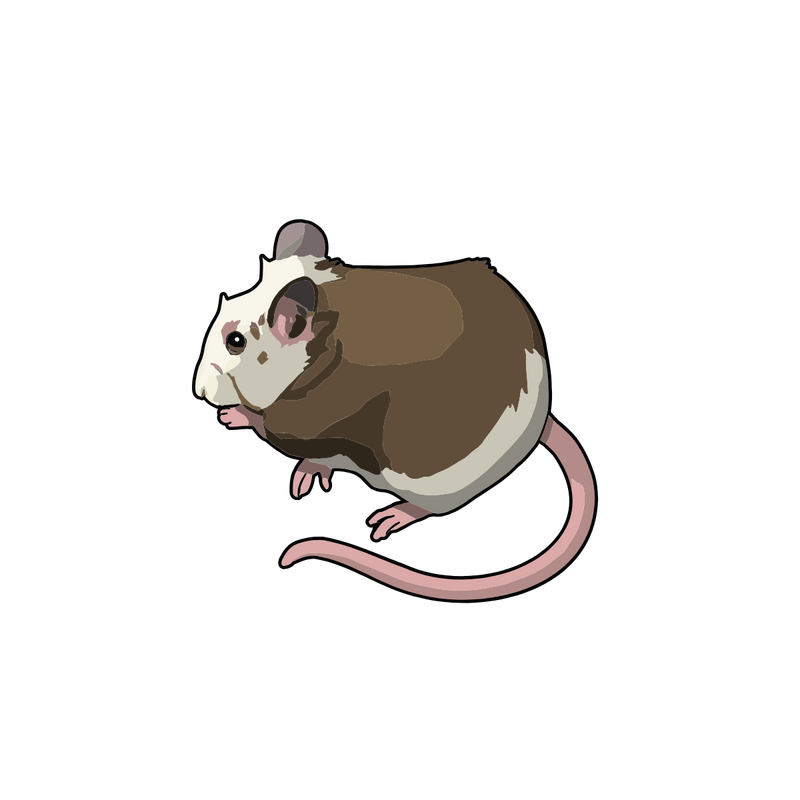 Mastomys Logo PNG Vector, Icon Transparent