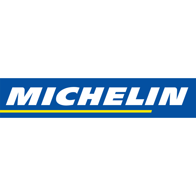 Логотип Michelin Wordmark PNG Vector, Иконка