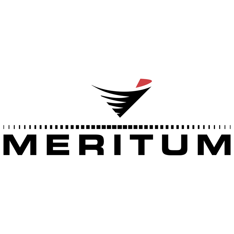 Meritum Logo PNG Vector  PNG