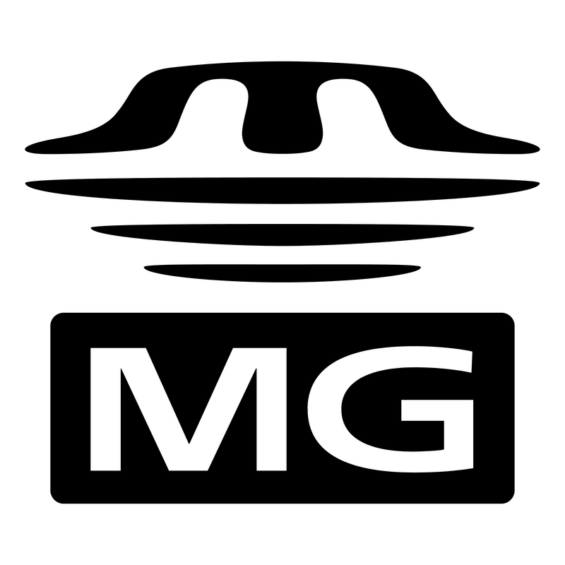 Memory Stick MG 标志 PNG Vector  PNG
