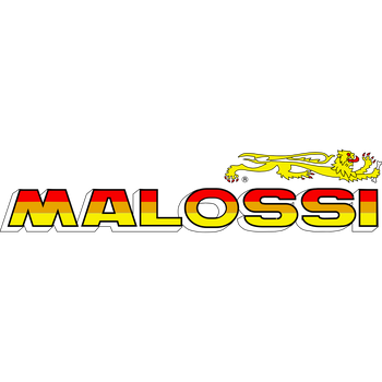 Malossi Logo PNG Átlátszó