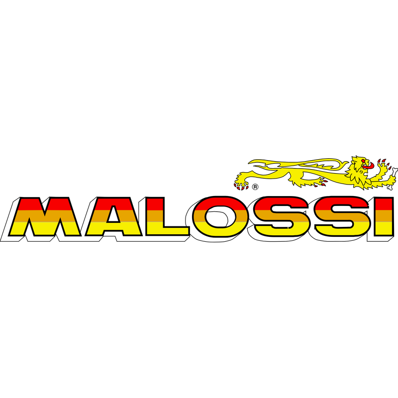 Malossi ロゴ PNG Vector  PNG