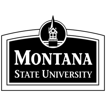 Montana State University Logo PNG