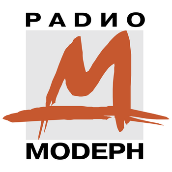 Modern Radio Logo PNG Transparente