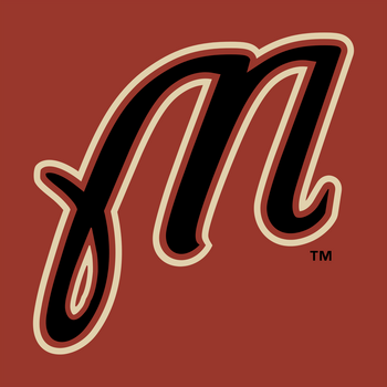 Martinsville Astros Logo PNG