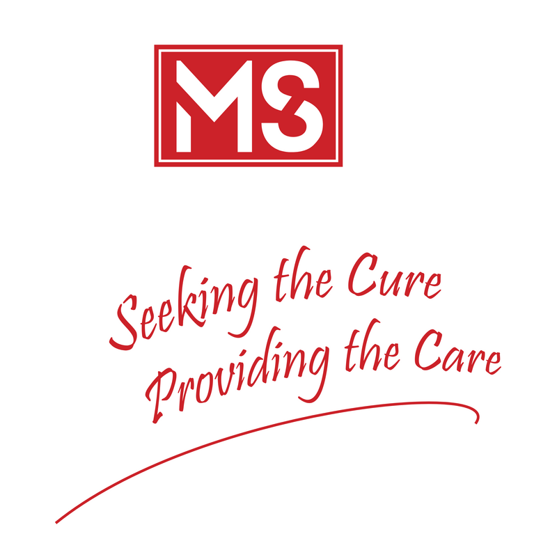 Ms Logo PNG Vector  PNG