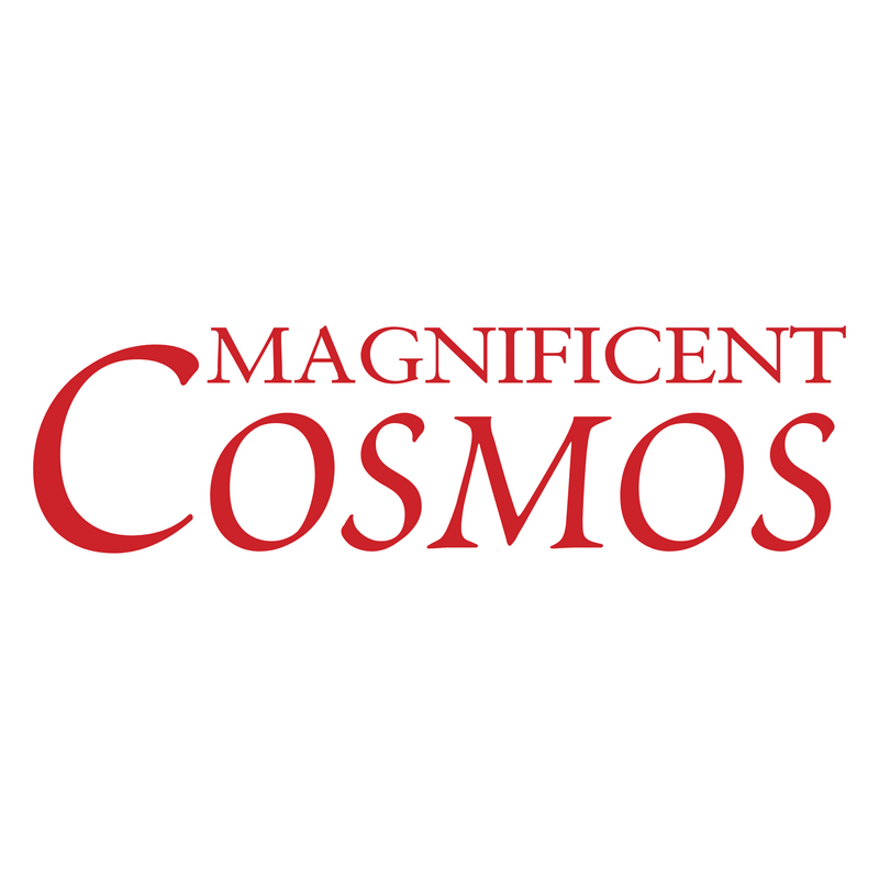 Magnificent Cosmos Logo PNG Vector  PNG