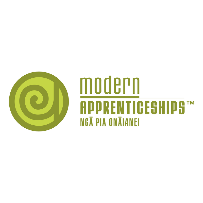Modern Apprenticeships Logo PNG Vector  PNG