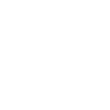 NSD Logo PNG