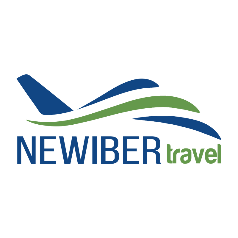 Newiber Logo PNG Vector, Icon