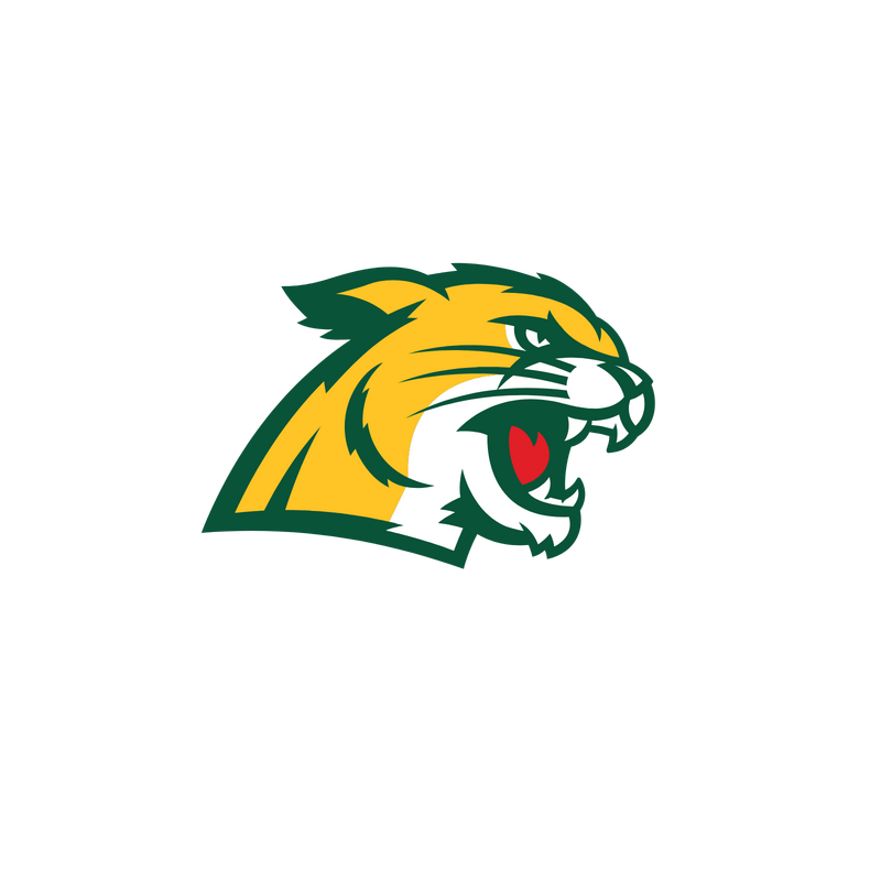 Northern Michigan Wildcats 标志 PNG 矢量、图标