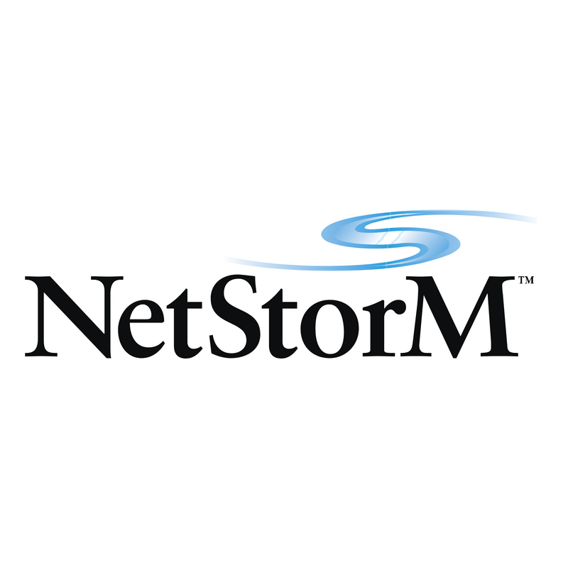 Netstorm Λογότυπο PNG Vector  PNG