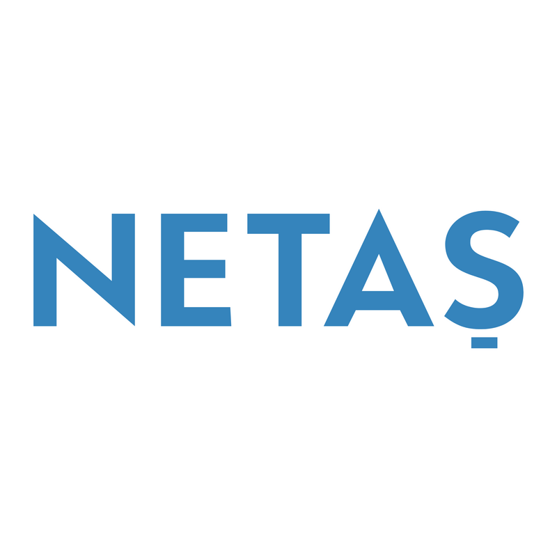 Netas Logo PNG Vector  PNG